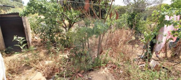 Casa T3 em Olhão, Portugal N.º 16324 13