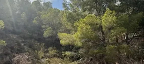 Terrain à Altea, Spain No. 137192 3