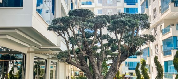 Квартира 3+2 в Аланья, Турция № 26693 4