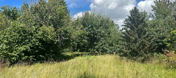  Land in Leipzig, Germany No. 207263 6