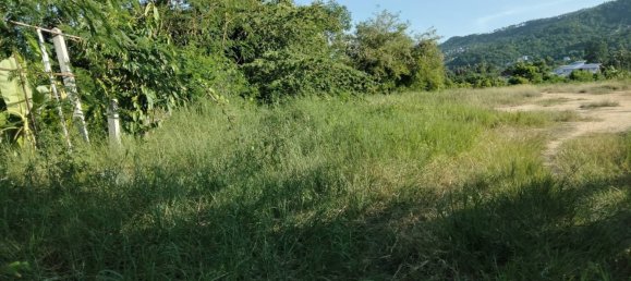  Land in Ko Samui, Thailand No. 26720 3