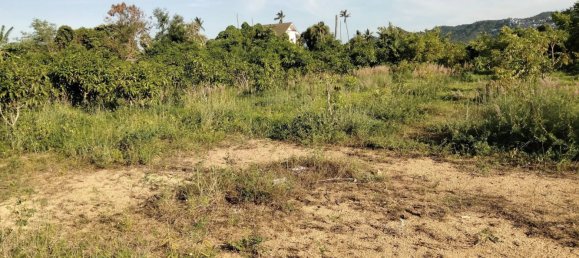  Land in Ko Samui, Thailand No. 26720 4