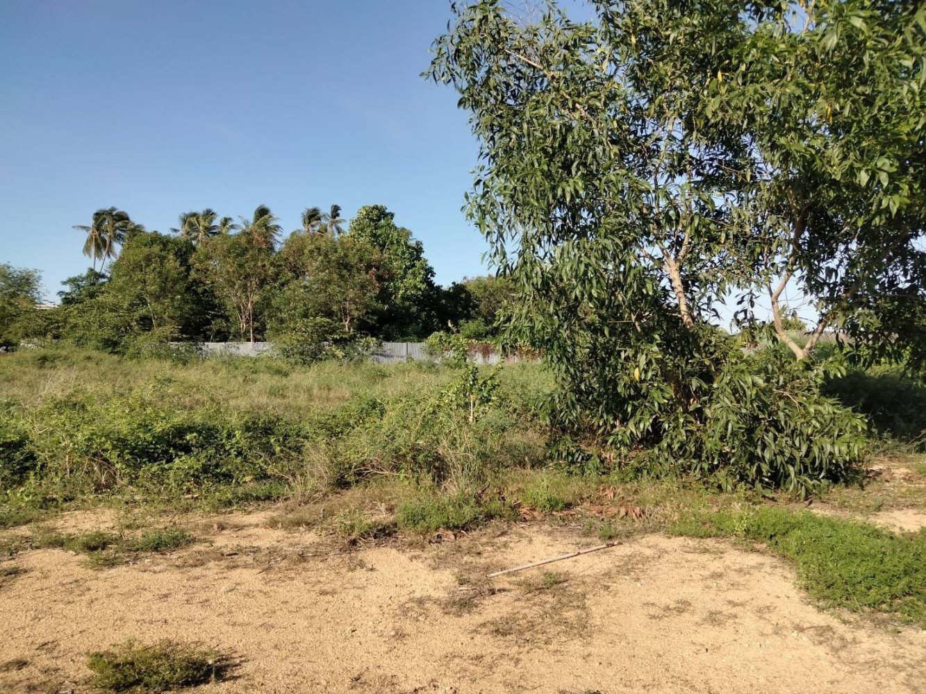  Land in Ko Samui, Thailand No. 26720