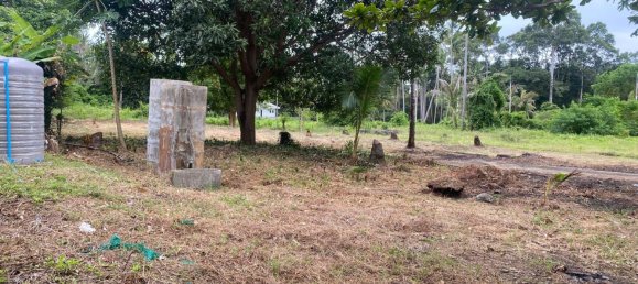  Land in Ko Samui, Thailand No. 67426 6