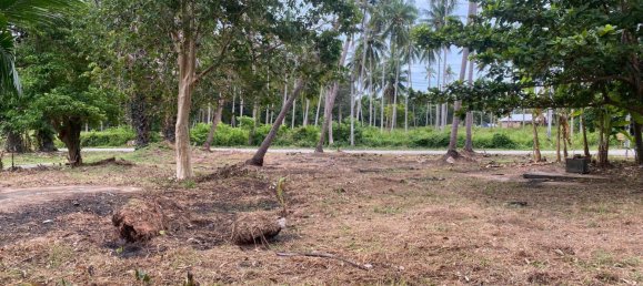  Land in Ko Samui, Thailand No. 67426 12