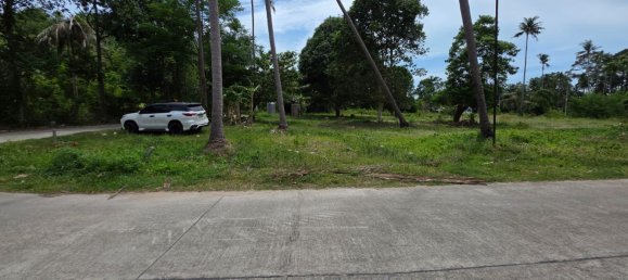  Land in Ko Samui, Thailand No. 67426 10
