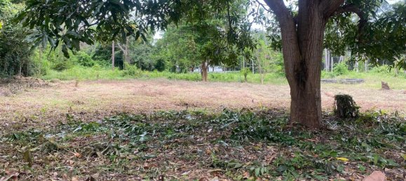  Land in Ko Samui, Thailand No. 67426 5