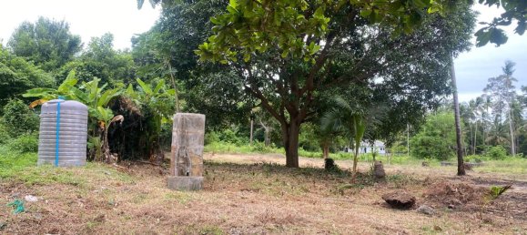  Land in Ko Samui, Thailand No. 67426 7