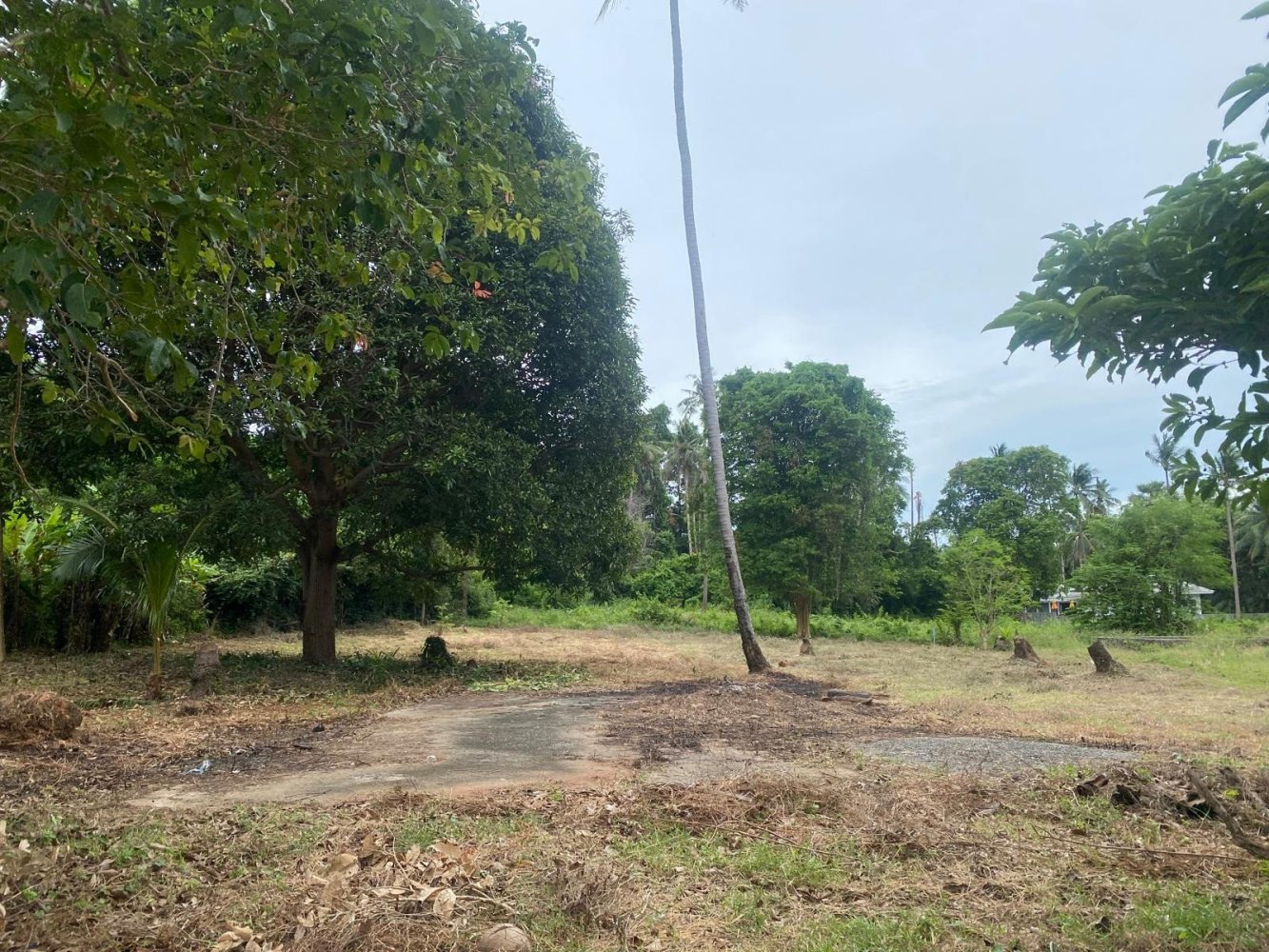  Land in Ko Samui, Thailand No. 67426