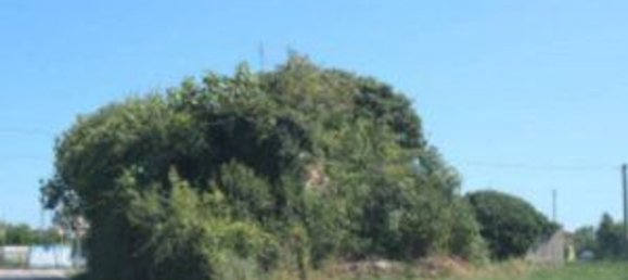 2-salle Appartement à Annone Veneto, Italy No. 16112 14