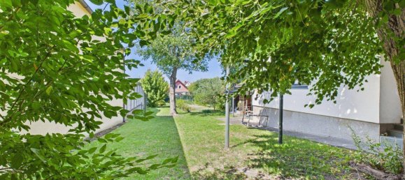 5 rooms House in Hohenau an der March, Austria No. 227519 3