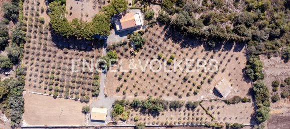 4 bedrooms Villa in Syracuse, Italy No. 245910 50