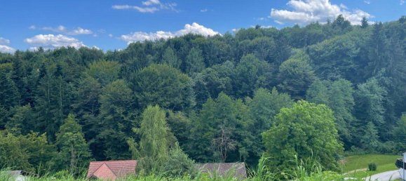  قطعة أرض في Bad Schwanberg, Austria 1890متر مربع رقم 207284 3