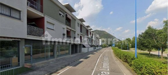 Коммерческая недвижимость с 5 комнатами в Брешиа, Италия № 326201 5