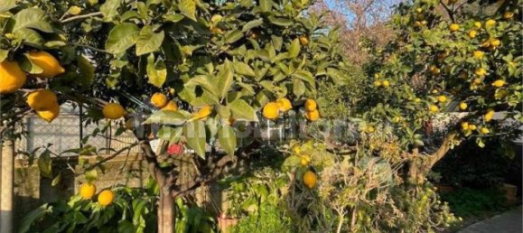 2 bedrooms Apartment in Camporosso, Italy No. 263710 12