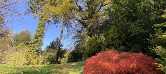 5 rooms Villa in Pressbaum, Austria No. 104130 7