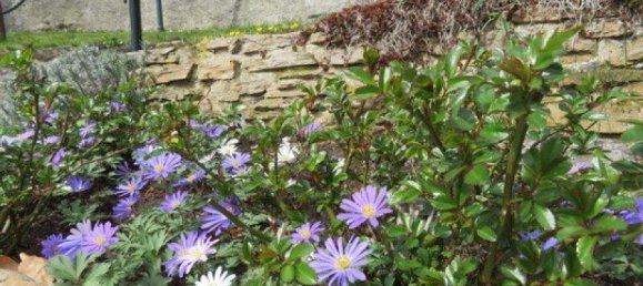 5-Zimmer Haus in Rosenburg-Mold, Austria, Nr. 167928 6