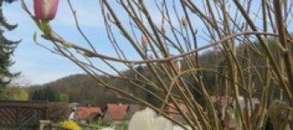 5-Zimmer Haus in Rosenburg-Mold, Austria, Nr. 167928 32