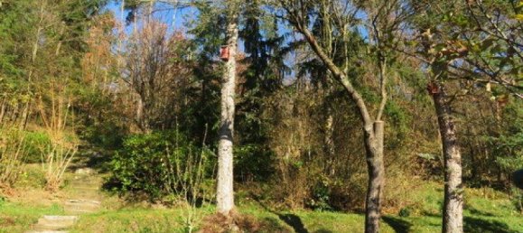 5-Zimmer Haus in Rosenburg-Mold, Austria, Nr. 167928 35