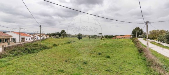 89000m² Land in Alcoentre, Portugal No. 75030 3