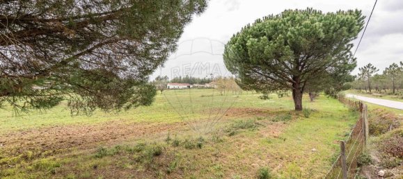 89000m² Land in Alcoentre, Portugal No. 75030 13