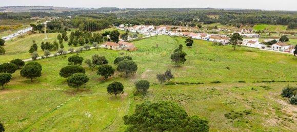 89000m² Land in Alcoentre, Portugal No. 75030 8