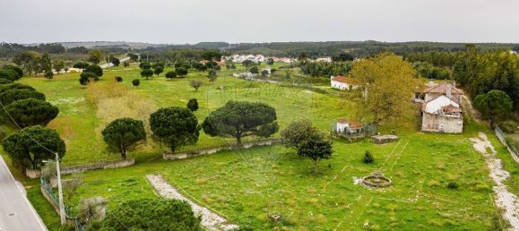 89000m² Land in Alcoentre, Portugal No. 75030 2