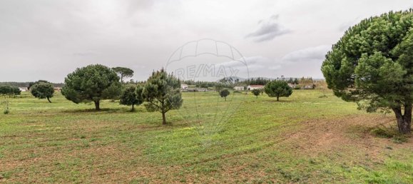 89000m² Land in Alcoentre, Portugal No. 75030 7