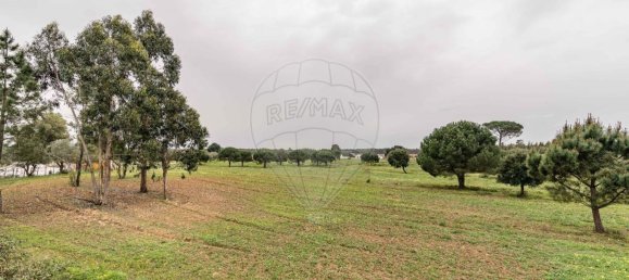 89000m² Land in Alcoentre, Portugal No. 75030 12