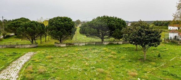 89000m² Land in Alcoentre, Portugal No. 75030 17