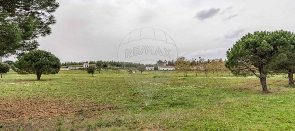 89000m² Land in Alcoentre, Portugal No. 75030 14