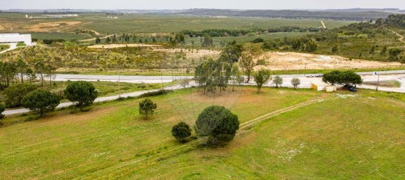 89000m² Land in Alcoentre, Portugal No. 75030 15