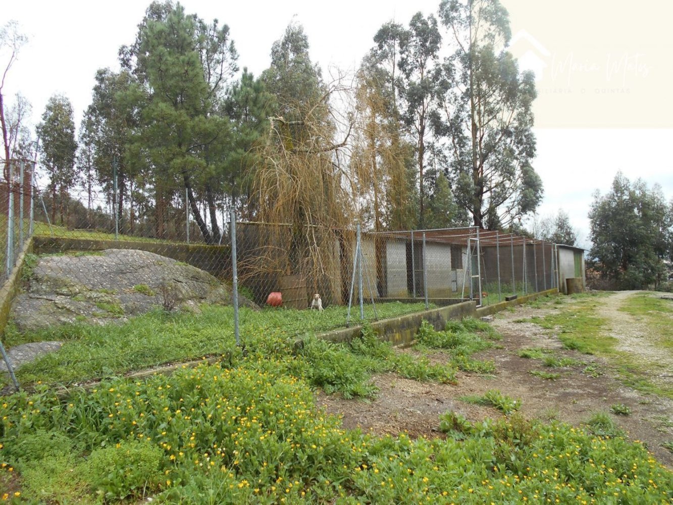  Land in Mangualde, Portugal No. 258897