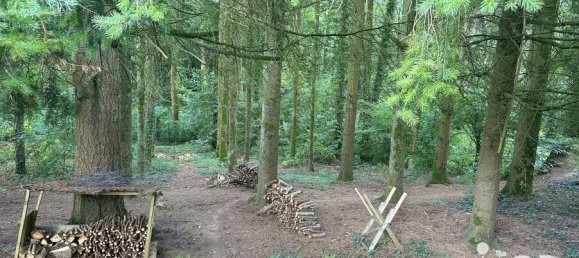 Дом с 4 спальнями в Кот-д'Армор, Франция № 287653 19