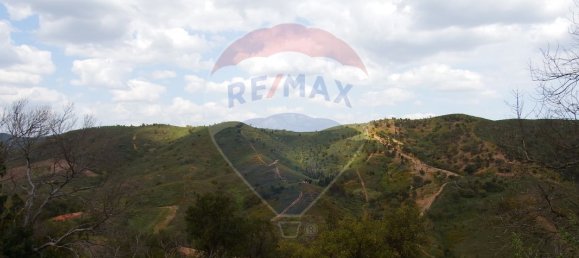 9 bedrooms House in Silves, Portugal No. 39888 2