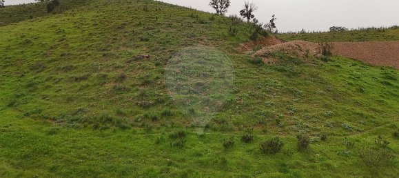 Terrain à Saboia, Portugal 41375m² No. 47540 22