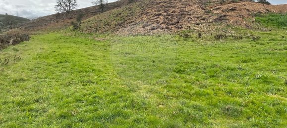 Terrain à Saboia, Portugal 41375m² No. 47540 16