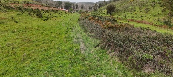 Terrain à Saboia, Portugal 41375m² No. 47540 20