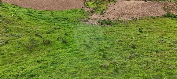 Terrain à Saboia, Portugal 41375m² No. 47540 18