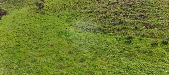 Terrain à Saboia, Portugal 41375m² No. 47540 21