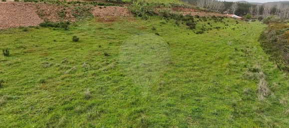 Terrain à Saboia, Portugal 41375m² No. 47540 19