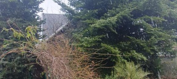 5-Zimmer Haus in Erzgebirgskreis, Germany, Nr. 219459 3