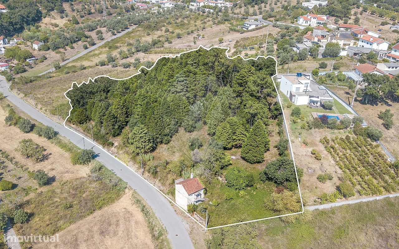 2 Schlafzimmer Haus in Coimbra, Portugal, Nr. 170116