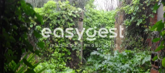 5 bedrooms House in Santarem, Portugal No. 71672 11