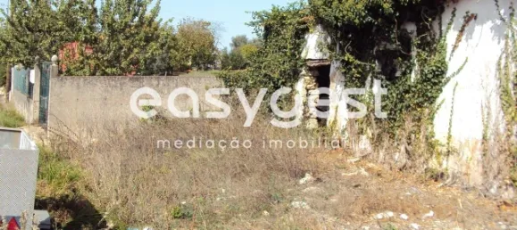 5 bedrooms House in Santarem, Portugal No. 71672 10