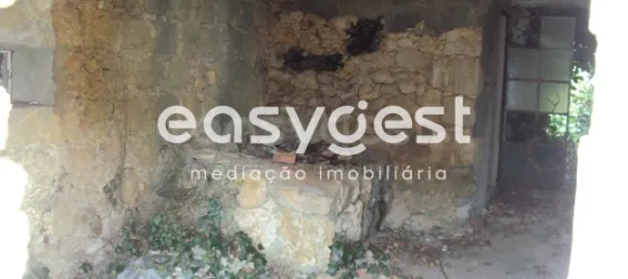 5 bedrooms House in Santarem, Portugal No. 71672 8