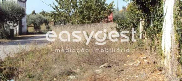 5 bedrooms House in Santarem, Portugal No. 71672 3