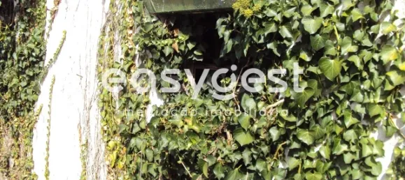 5 bedrooms House in Santarem, Portugal No. 71672 6