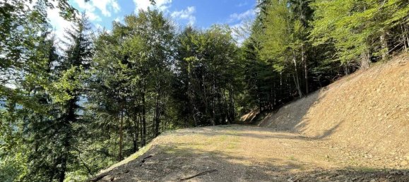 Grundstück in Hitzendorf, Austria 101553m², Nr. 216658 9