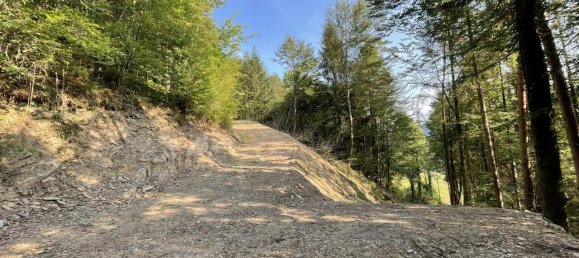 Grundstück in Hitzendorf, Austria 101553m², Nr. 216658 5